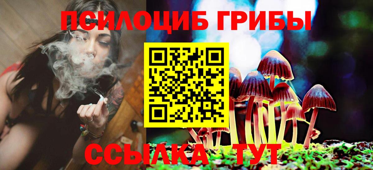 Псилоцибиновые грибы прущие грибы  Псилоцибиновые грибы Magic Shrooms  Кингисепп  Вход с VPN 
